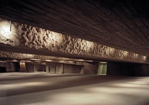 Magma Art and Congress