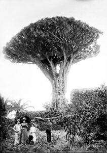 267701384_1793430930851622_3960776864933602107_n 5