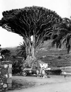 309212425_5918666028166231_8904178204630762625_n años 30