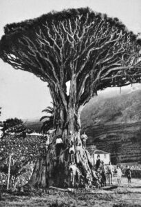 Editado por la Sección de Publicidad de la Revista Información Comercial - 1931